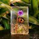 Small Invertebrate Paperweight