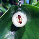Glow in the Dark Ant Keychain