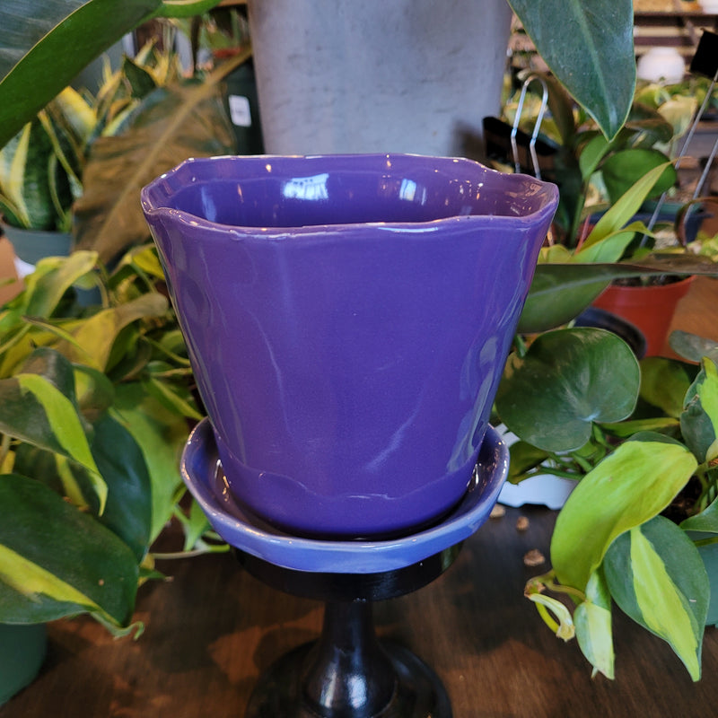 purple ceramic flower pots Tika Ceramic Planter