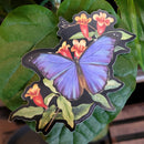 Morpho Butterfly Sticker