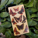 Butterfly Matchbox