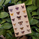 Butterfly Matchbox