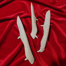 Alligator Jawbone Knife