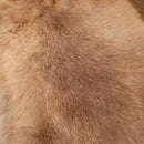 Rabbit Pelt