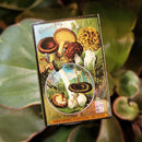 Mini Mushroom Extract Matchboxes