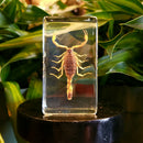 Golden Scorpion Paperweight