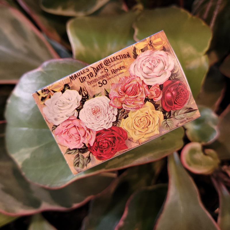 Mini Rose Matchboxes