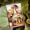 Mini Mushroom Extract Matchboxes