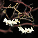 Snake Vertebra Hoop Earrings