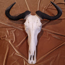 Blue Wildebeest Skull