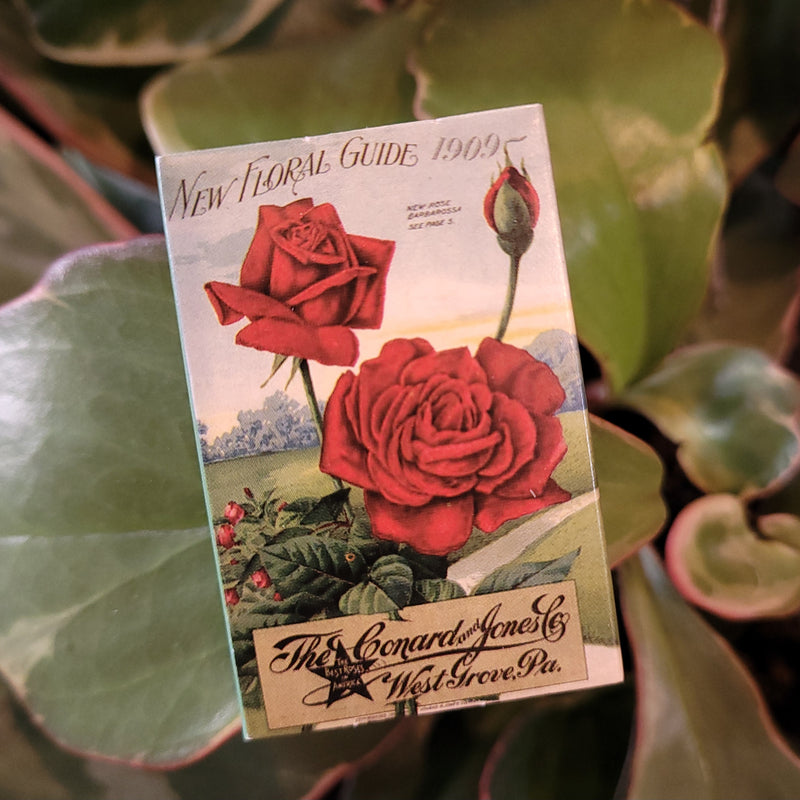 Mini Rose Matchboxes