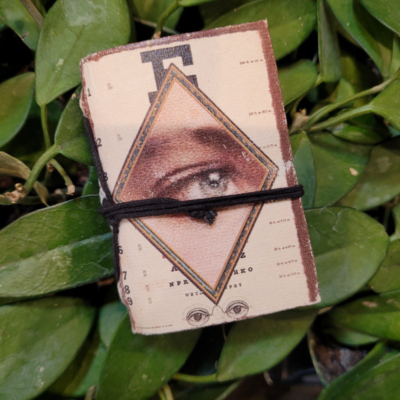 Vintage Eye Art Mini Journal