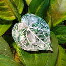 Monstera Leaf Hair Claw Clip