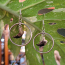 Coyote Claw Hoop Earrings