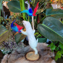 Stripper Ermine Taxidermy Mount