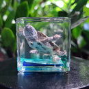 Turtle Cube Paperweight