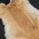Rabbit Pelt