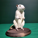Taxidermy Rat