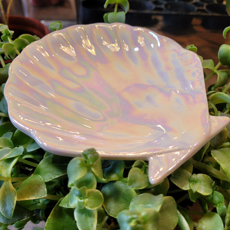 Iridescent Shell Tray