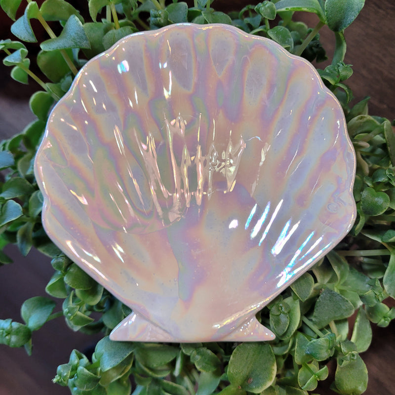 Iridescent Shell Tray