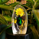 Green Chafer Beetle Slab Paperweight