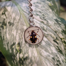 Glow in the Dark Fungus Beetle Keychain