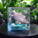 Turtle Cube Paperweight