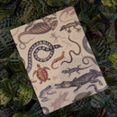 Herpetology Softcover Lined Notebook