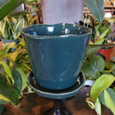 Tika Ceramic Planter