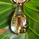 Golden Scorpion Tear Drop Keychain