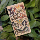 Butterfly Matchbox