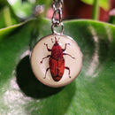Glow in the Dark Bamboo Weevil Keychain