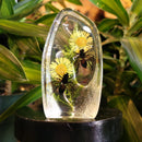 Honey Bee Slab Paperweight