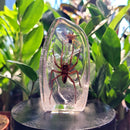 Two Spider Slab Paperweight