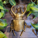 Gold Rhino Beetle Wall Decor