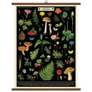Vintage School Chart - Foraging
