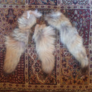 Craft Grade Coyote Tail - Curious Nature