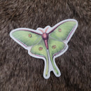 Luna Moth Sticker