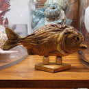 Taxidermy Piranha