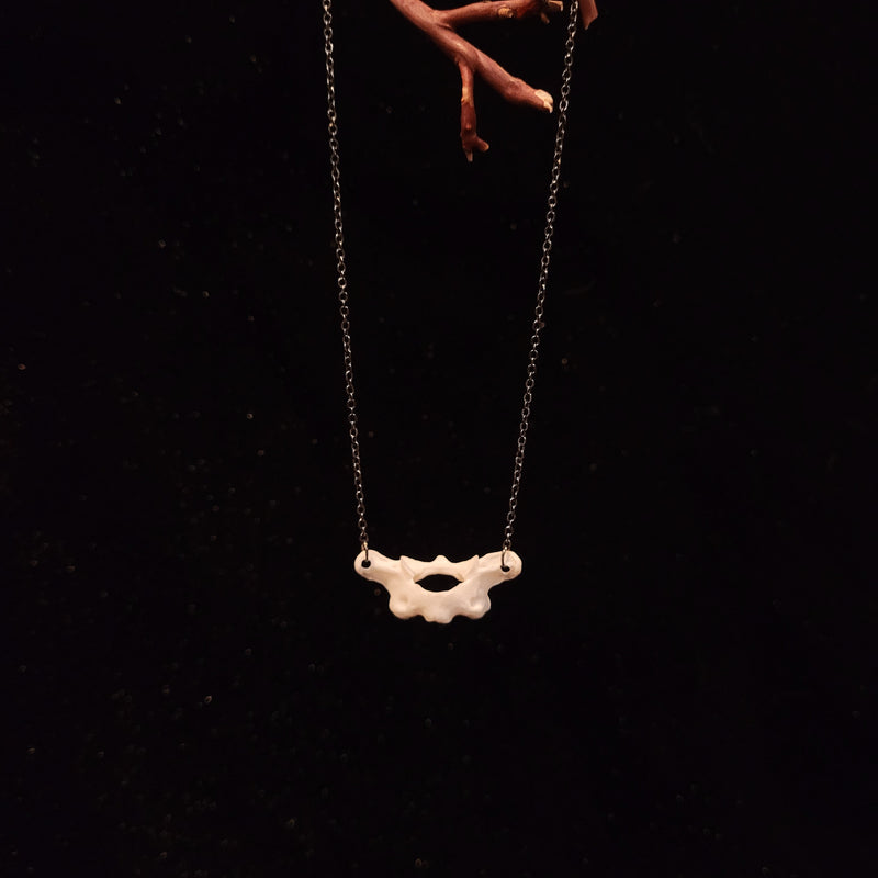 Skunk Atlas Bone Necklace
