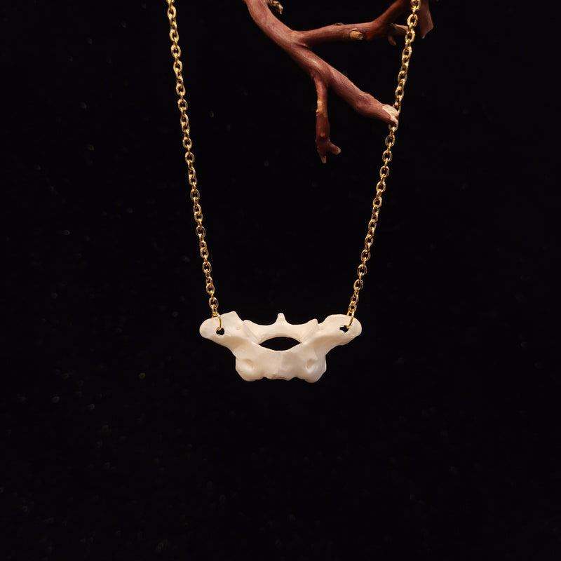 Skunk Atlas Bone Necklace