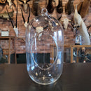 9.5" Glass Capsule Terrarium