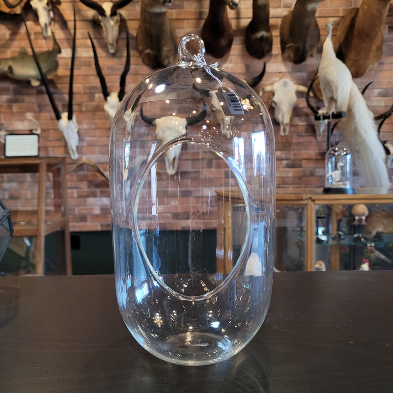 9.5" Glass Capsule Terrarium