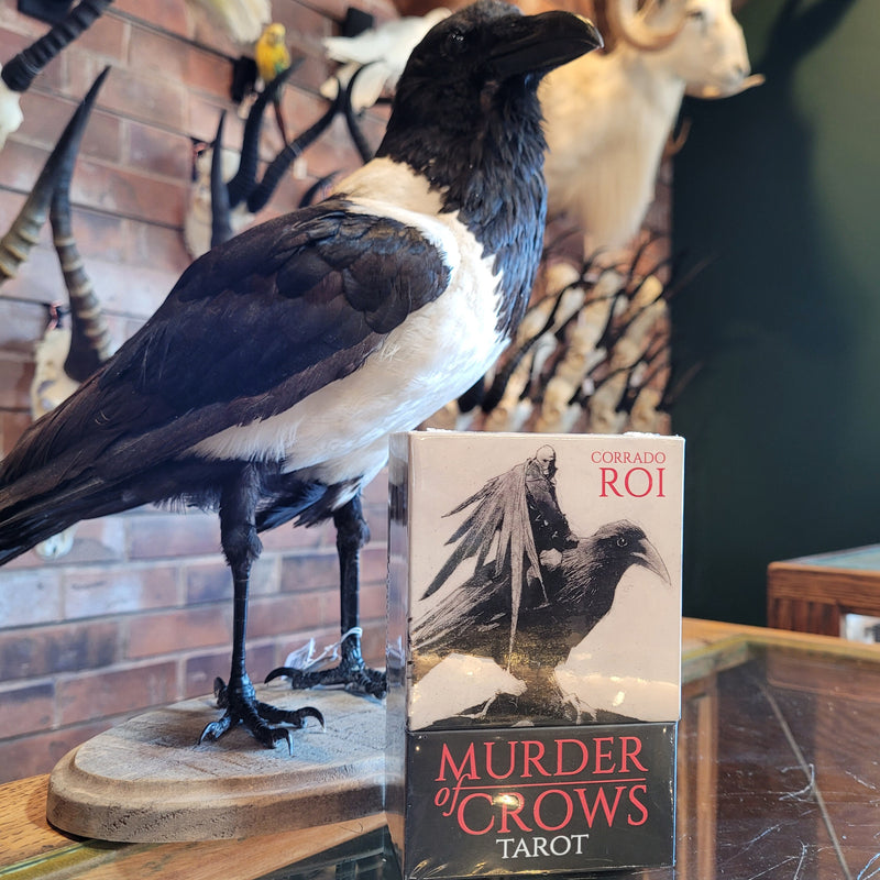 Murder of Crows Tarot Deck