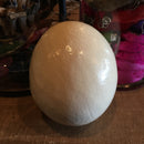 Ostrich Egg