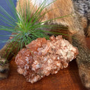Aragonite - Curious Nature