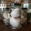 Sheep Testicles Wet Specimen