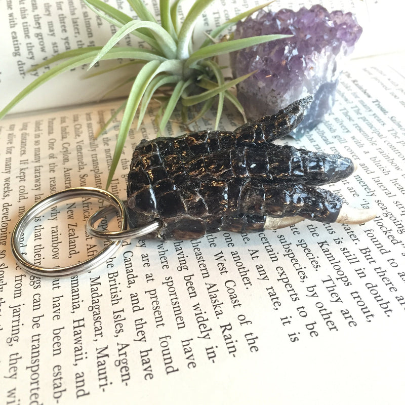 Alligator Foot Keychains - Curious Nature