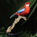 Crimson Rosella Mount