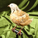 Coturnix Quail Mount
